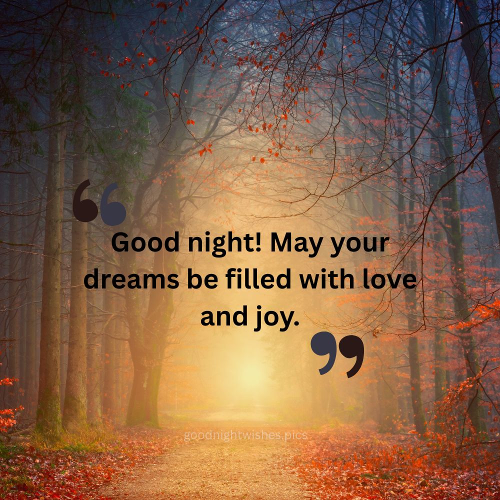 Heartfelt Good Night Quotes